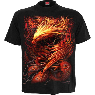 Spiral Phoenix Arisen - T-Shirt Black
